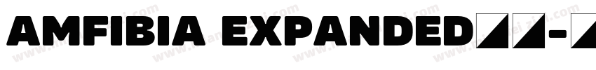 AMFIBIA EXPANDED字体字体转换